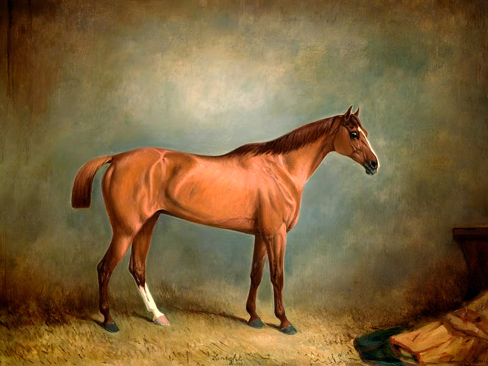 Excellent Oleograph on Canvas - Portrait of the Racehorse 