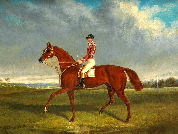 Fine Oleograph on Canvas - Portrait of the Derby Winner 