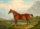 Fine Oleograph on Canvas - Study of a Chestnut Hunter aft. Charles Towne