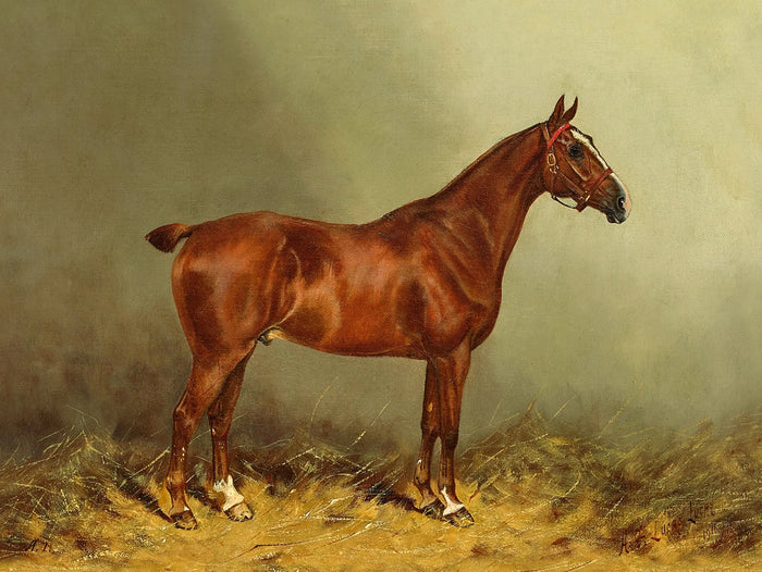 Fine Oleograph on Canvas of the Racehorse 