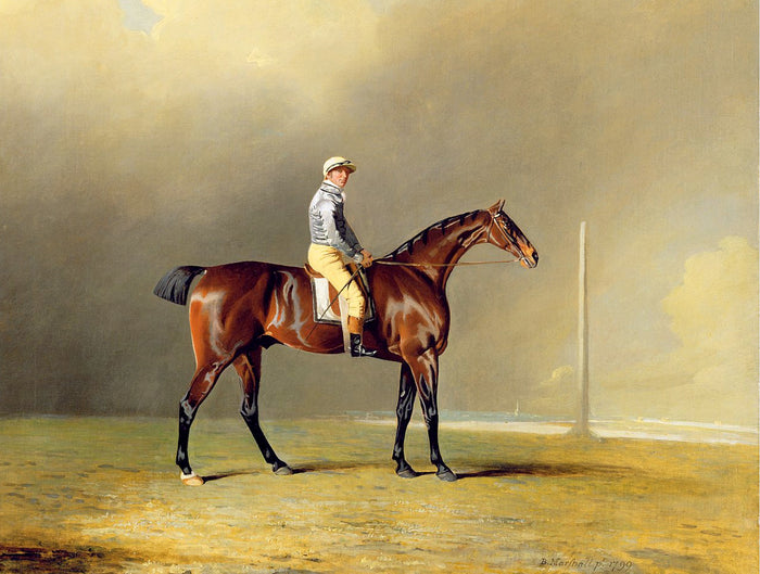Excellent Oleograph on Canvas - Portrait of the Racehorse 