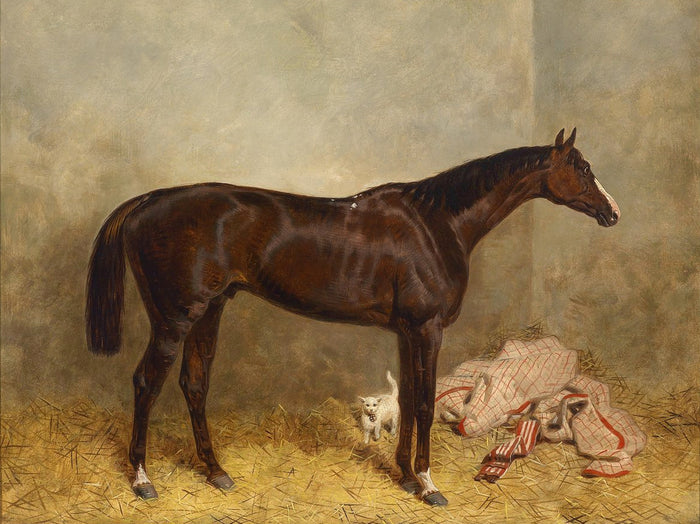 Fine Oleograph on Canvas of the Bay Race Horse 