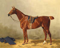 Fine Oleograph on Canvas - Study of a Chestnut Hunter in a Stall