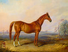Fine Oleograph on Canvas - The Racehorse "Glencoe" in a Landscape