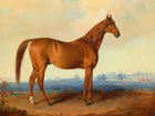 Fine Oleograph on Canvas - The Racehorse "American Eclipse" in a Landscape