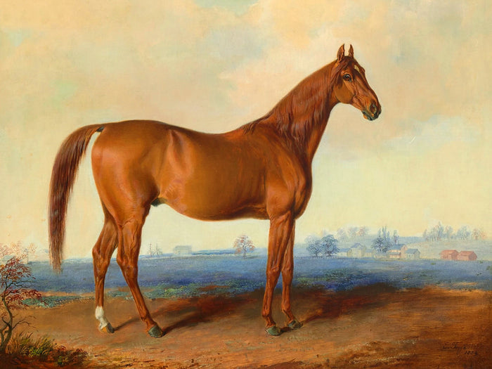Fine Oleograph on Canvas - The Racehorse 