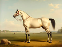 Gilt Framed Oleograph of a White Arabian Stallion in a Landscape