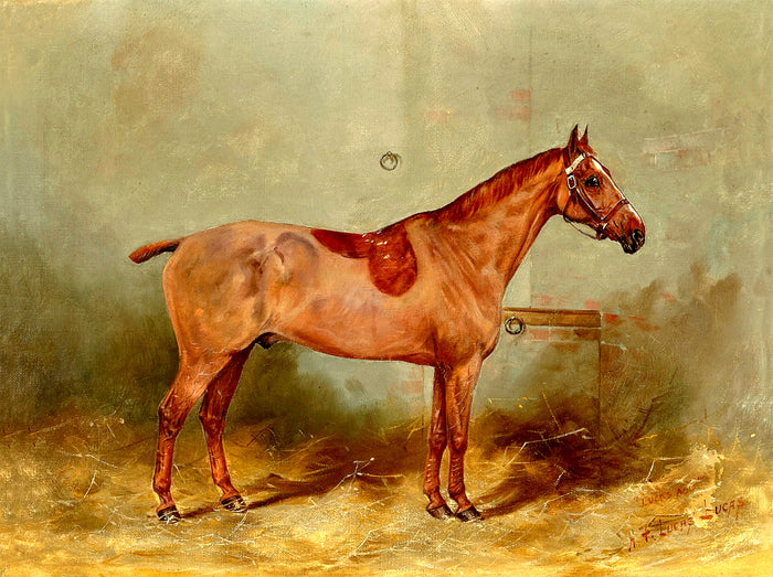 Fine Oleograph on Canvas - Study of a Saddled Chestnut Hunter in a stable