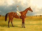 Fine Oleograph on Canvas - Study of a Racehorse & Jockey