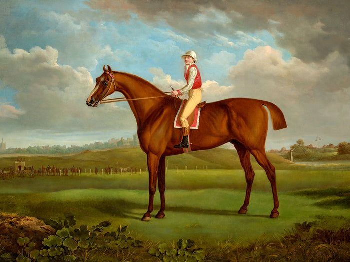 Fine Oleograph on Canvas - The Racehorse 