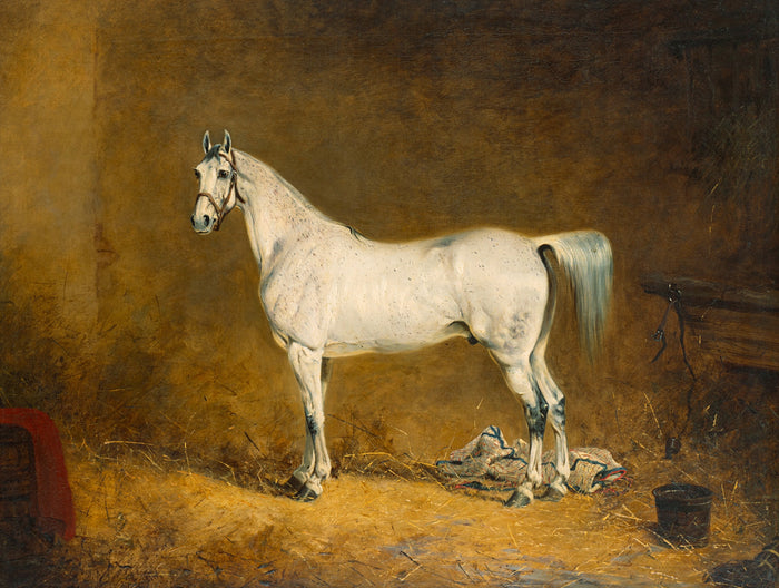 Fine Oleograph on Canvas -Portrait of a Flea Bitten Grey Hunter
