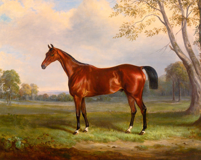 Fine Oleograph on Canvas - Bay Horse by a Tree