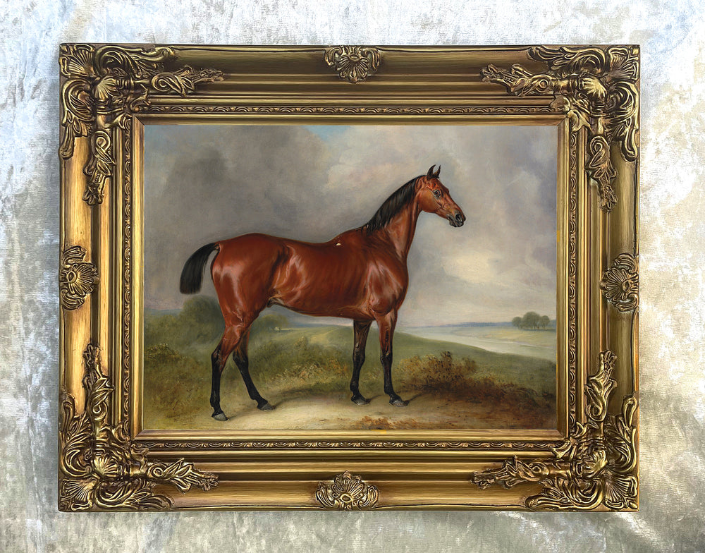 Fine Lithograph on Stretched Canvas of a Bay Hunter in an Extensive Landscape