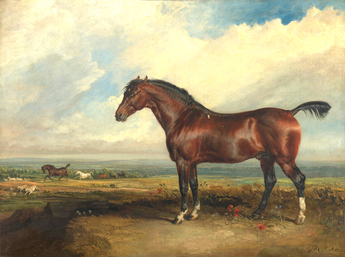 Oleograph on Canvas of a Bay Hunter in a Landscape