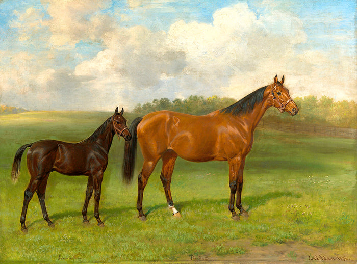 Fine Oleograph on Canvas - Study of a Mare & Foal