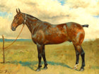 Gilt Framed Oleograph of  a Bay Hunter in a Landscape