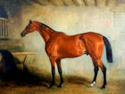 Gilt Framed Oleograph of  a Racehorse in a Stable