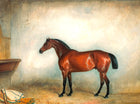 Oleograph on Canvas of a Horse in a Stable after Claude Ferneley