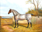 Oleograph on Canvas of a Dun Horse in a Yard