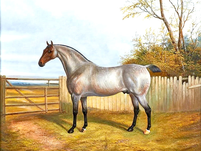 Oleograph on Canvas of a Dun Horse in a Yard
