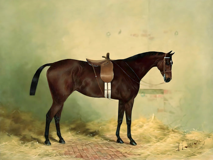 Oleograph on Canvas of 