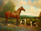 Fine Oleograph on Canvas of a Horse & Hounds