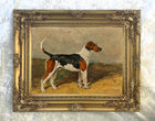 Beautiful Oleograph on Canvas - Portrait of a Foxhound