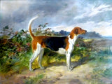 Gilt Framed Oleograph of the Foxhound "Gladson" in a Landscape