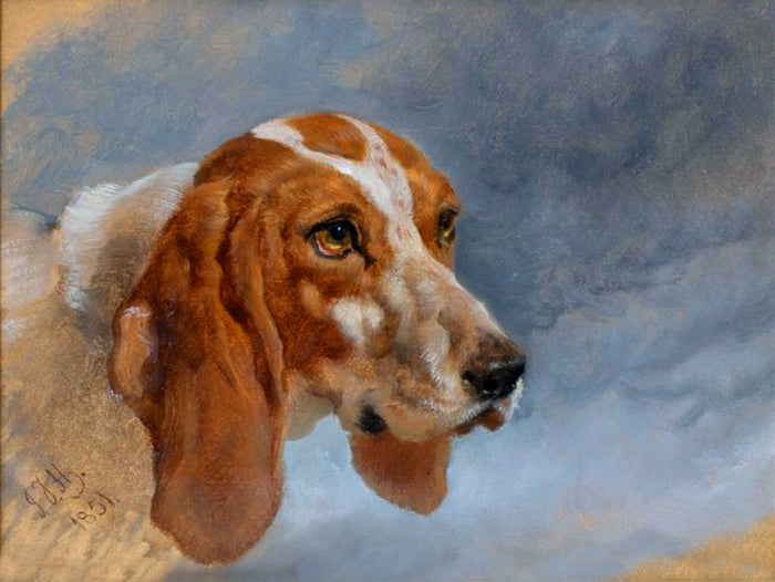 Fine Oleograph on Canvas - Portrait of a Hounds Head aft. J F Herring