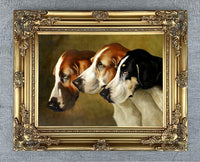 Fine Oleograph on Canvas - A Group of 3 Foxhounds