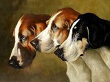 Fine Oleograph on Canvas - A Group of 3 Foxhounds