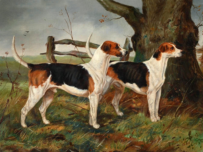 Fine Oleograph on Canvas - A Pair of Warwickshire Hounds