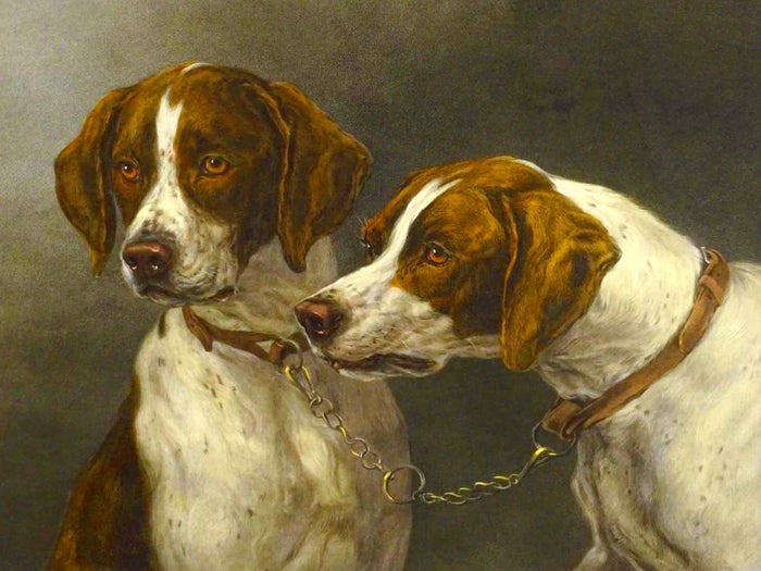 Fine Oleograph on Canvas - A Pair of Hounds 