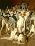 Fine Gilt Framed Oleograph of Hounds in a Stable