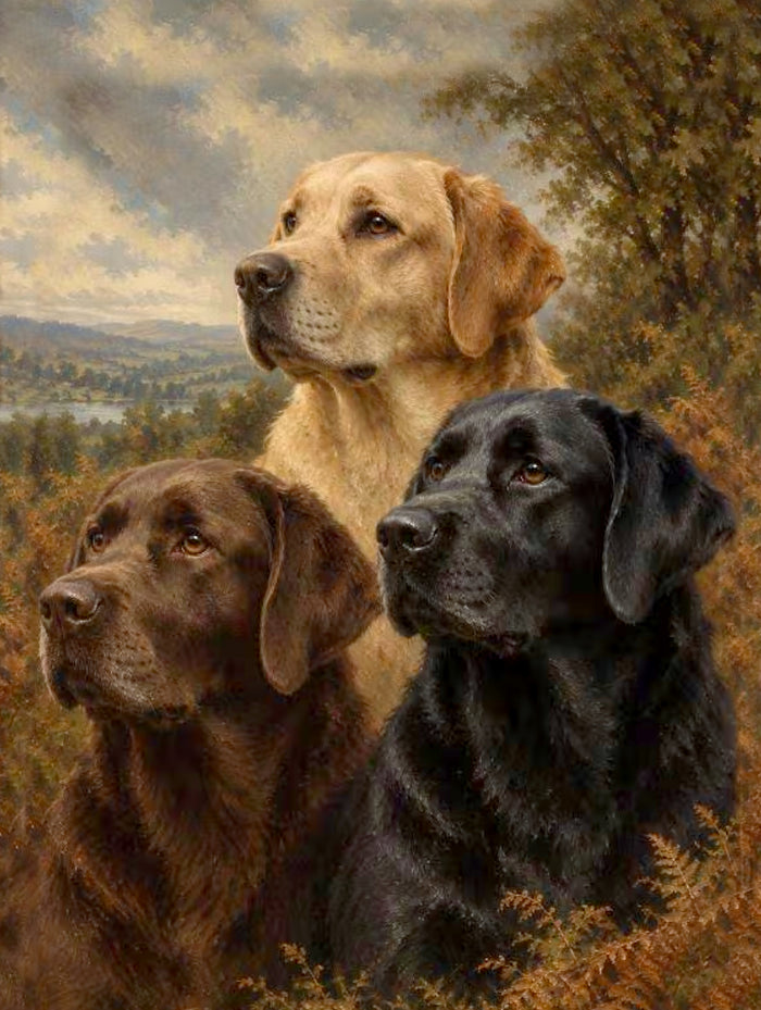 Fine Ornate Framed Oil Painting Print - 3 Labradors 