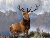 Fine Oleograph on Canvas Portrait of "Monarch of the Glen" aft. Landseer