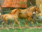 Fine Portrait of a Mare & Foal after Alfred Munnings