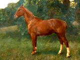 Oleograph on Canvas of a Hunter after Munnings