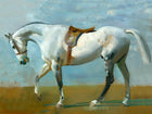 Fine Large Oleograph on Canvas of a Dapple Grey Horse aft. Munnings