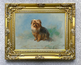 Fine Oleograph on Canvas - Portrait of a Norfolk Terrier aft. Thorburn