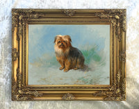 Fine Oleograph on Canvas - Portrait of a Norfolk Terrier aft. Thorburn