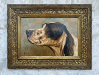 Fine Early C20th Edwardian Oil on Panel Portrait of an English Setter