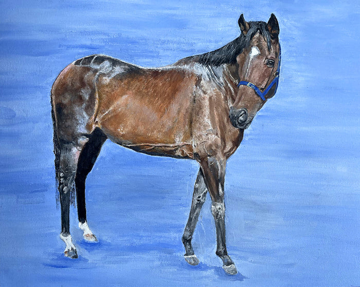 Fine Vintage English School Oil on Canvas Board Portrait of a Bay Horse