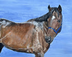 Fine Vintage English School Oil on Canvas Board Portrait of a Bay Horse