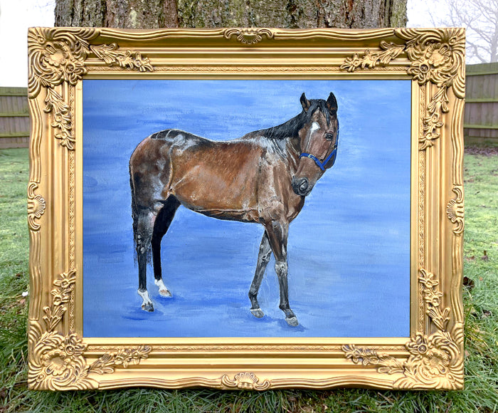 Fine Vintage English School Oil on Canvas Board Portrait of a Bay Horse