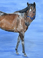 Fine Vintage English School Oil on Canvas Board Portrait of a Bay Horse
