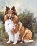 Fine Large Vintage Pastel Portrait of a Collie Dog