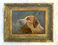 Superb Vintage C20th Oil on Board Study of a Hound - Jameson SOLD