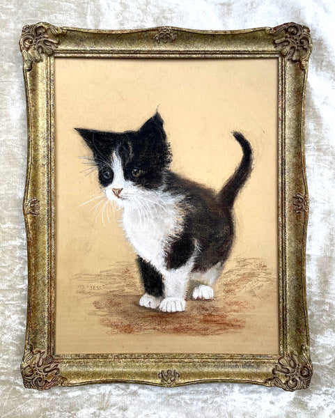 Delightful Vintage Mid C20th Pastel & Watercolour Portrait of a Kitten - Mabel Gear