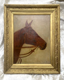 Fine Late C19th Victorian Oil on Canvas Portrait of a Bay Horse SOLD